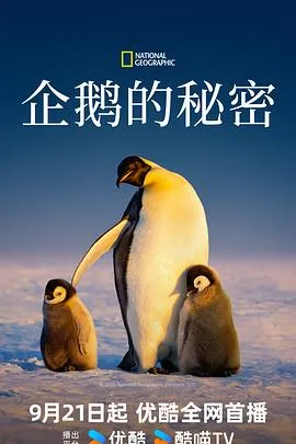 企鹅的秘密